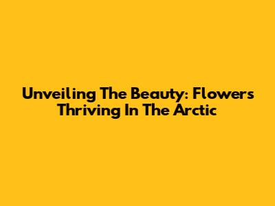 Unveiling The Beauty: Flowers Thriving In The Arctic