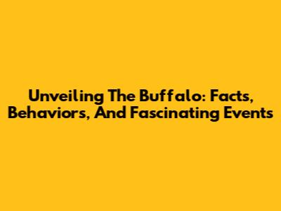 Unveiling The Buffalo: Facts, Behaviors, And Fascinating Events