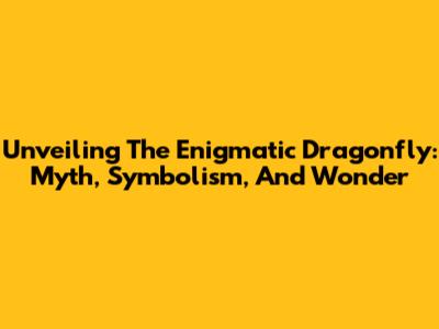 Unveiling The Enigmatic Dragonfly: Myth, Symbolism, And Wonder
