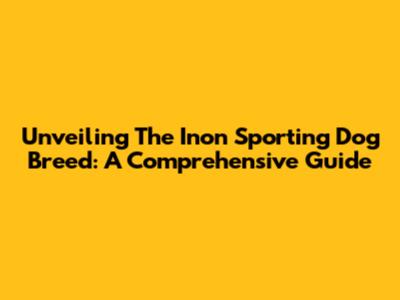 Unveiling The Inon Sporting Dog Breed: A Comprehensive Guide