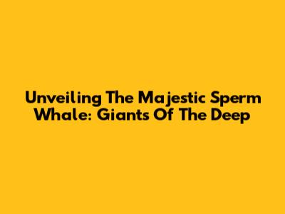 Unveiling The Majestic Sperm Whale: Giants Of The Deep
