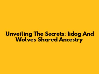 Unveiling The Secrets: Iidog And Wolves' Shared Ancestry