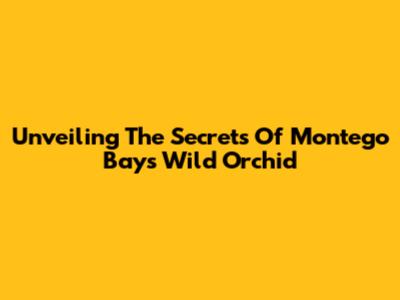 Unveiling The Secrets Of Montego Bay's Wild Orchid