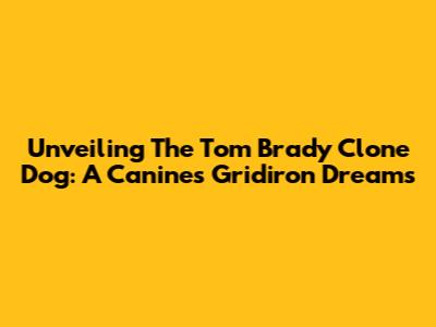 Unveiling The Tom Brady Clone Dog: A Canine's Gridiron Dreams