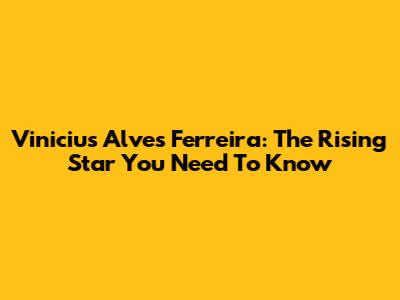 Vinicius Alves Ferreira: The Rising Star You Need To Know