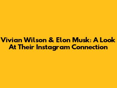 Vivian Wilson & Elon Musk: A Look At Their Instagram Connection