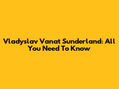Vladyslav Vanat Sunderland: All You Need To Know