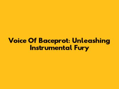Voice Of Baceprot: Unleashing Instrumental Fury