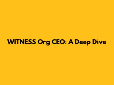 WITNESS Org CEO: A Deep Dive