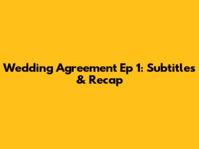 Wedding Agreement Ep 1: Subtitles & Recap
