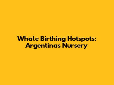 Whale Birthing Hotspots: Argentina's Nursery