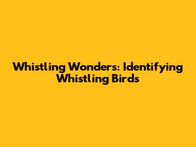 Whistling Wonders: Identifying Whistling Birds