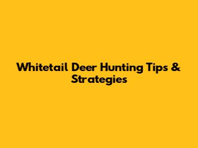 Whitetail Deer Hunting Tips & Strategies