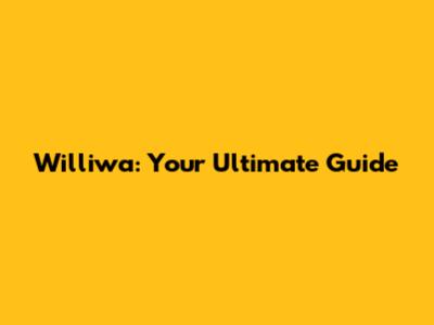 Williwa: Your Ultimate Guide