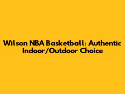 Wilson NBA Basketball: Authentic Indoor/Outdoor Choice