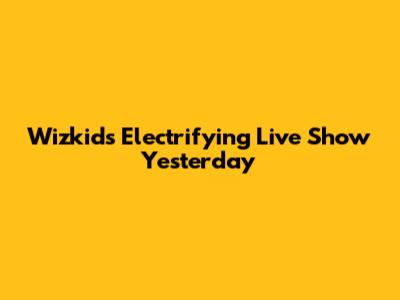 Wizkid's Electrifying Live Show Yesterday