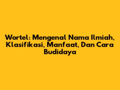 Wortel: Mengenal Nama Ilmiah, Klasifikasi, Manfaat, Dan Cara Budidaya