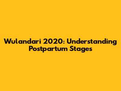Wulandari 2020: Understanding Postpartum Stages