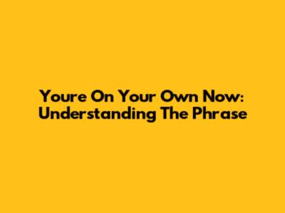 You're On Your Own Now: Understanding The Phrase