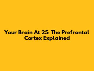 Your Brain At 25: The Prefrontal Cortex Explained