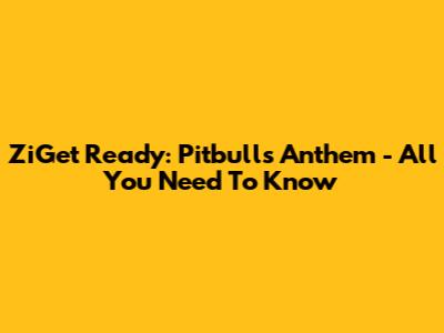 ZiGet Ready: Pitbull's Anthem - All You Need To Know