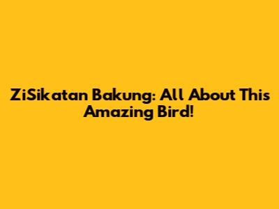 ZiSikatan Bakung: All About This Amazing Bird!